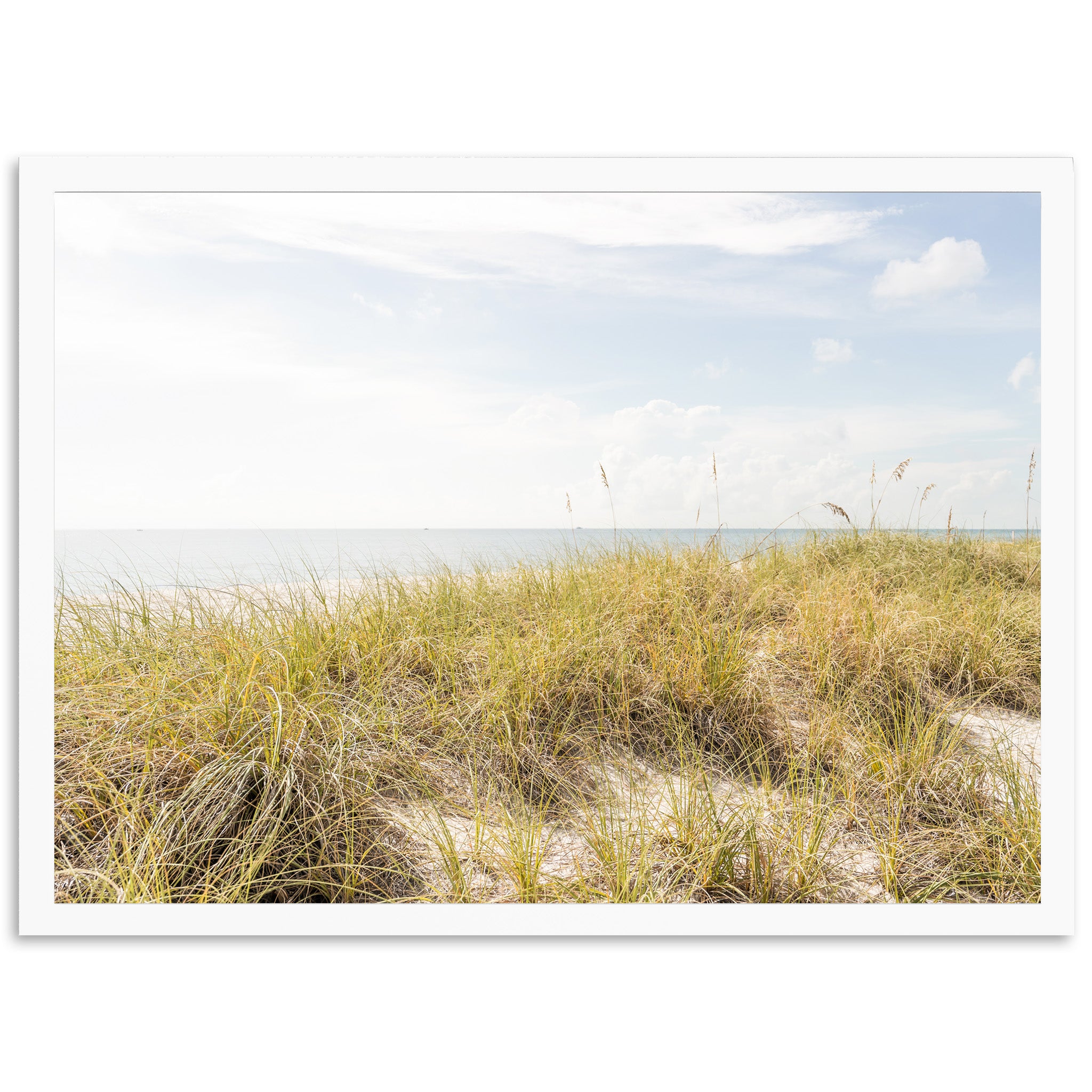 Atlantic Dunes