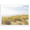 Atlantic Dunes