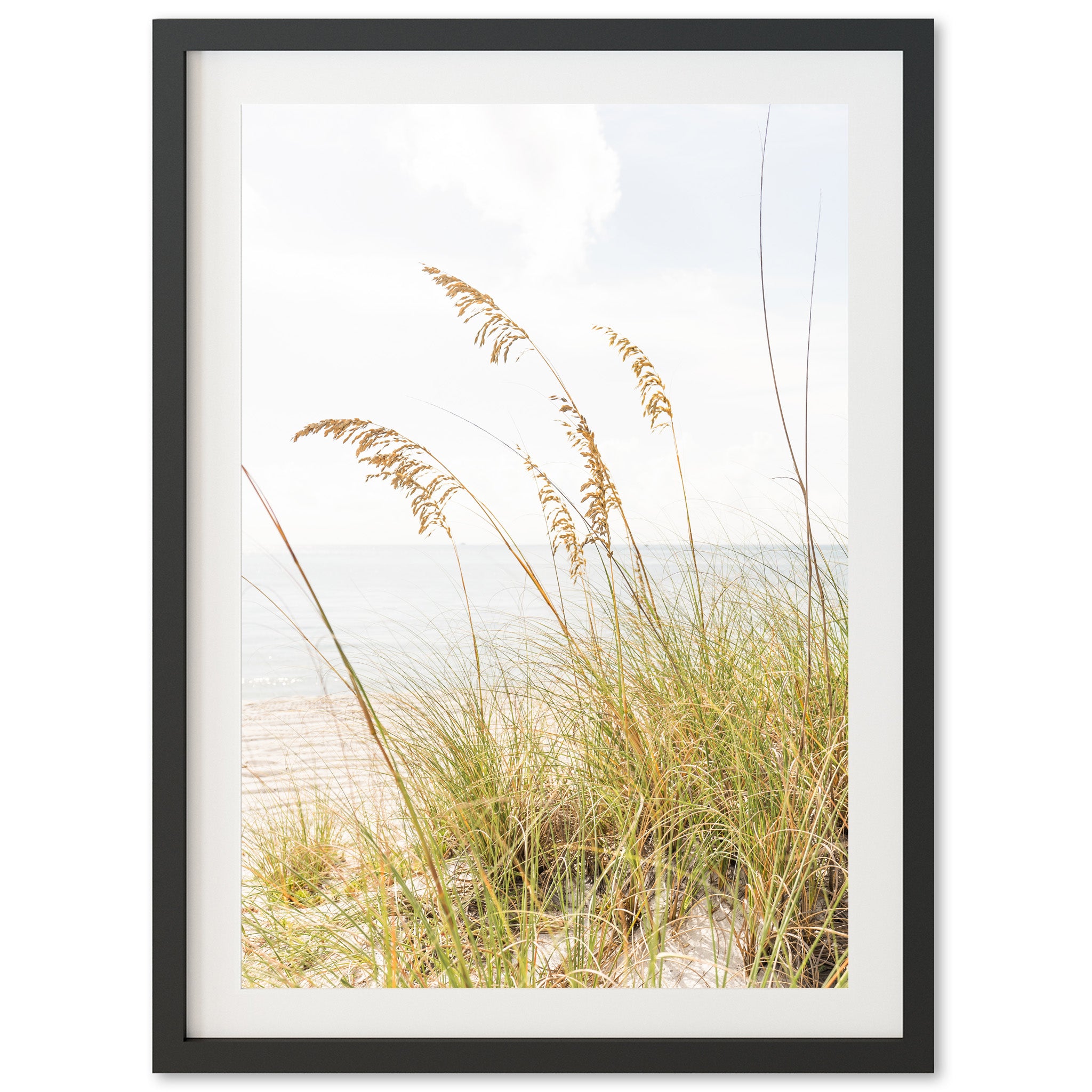 Sea Oats