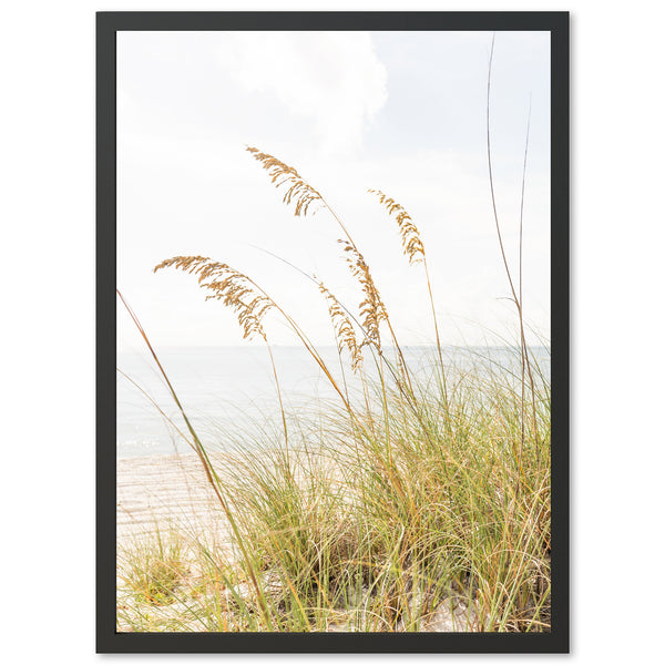Sea Oats