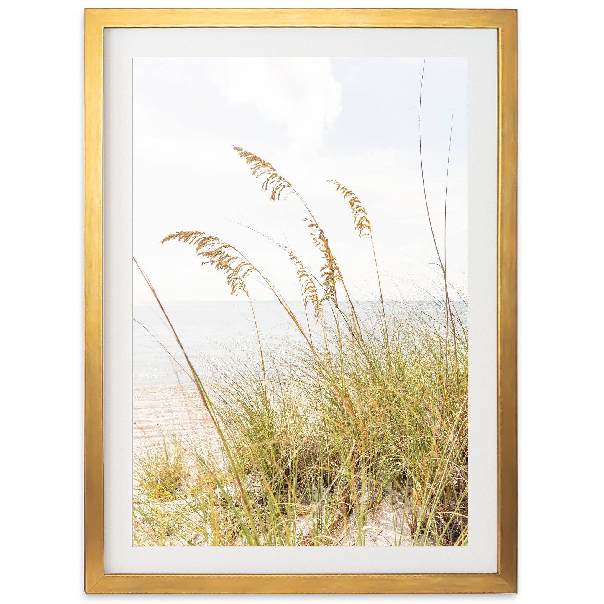 Sea Oats