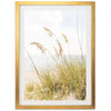 Sea Oats