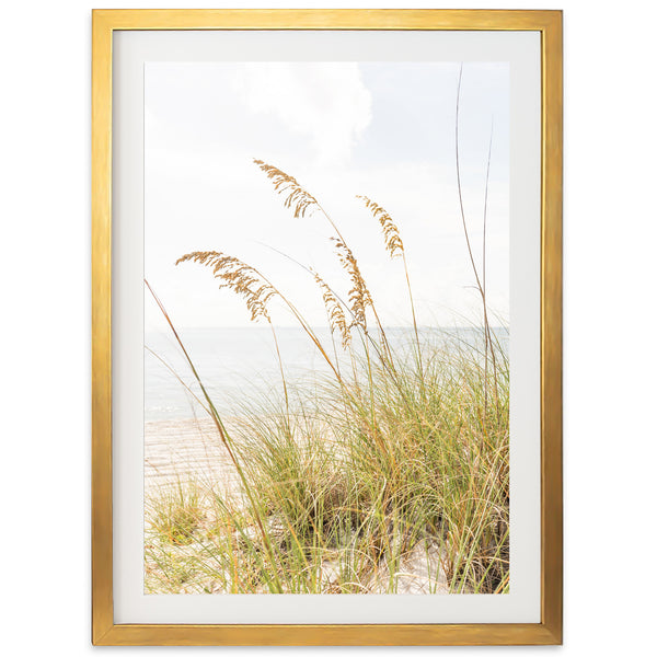 Sea Oats