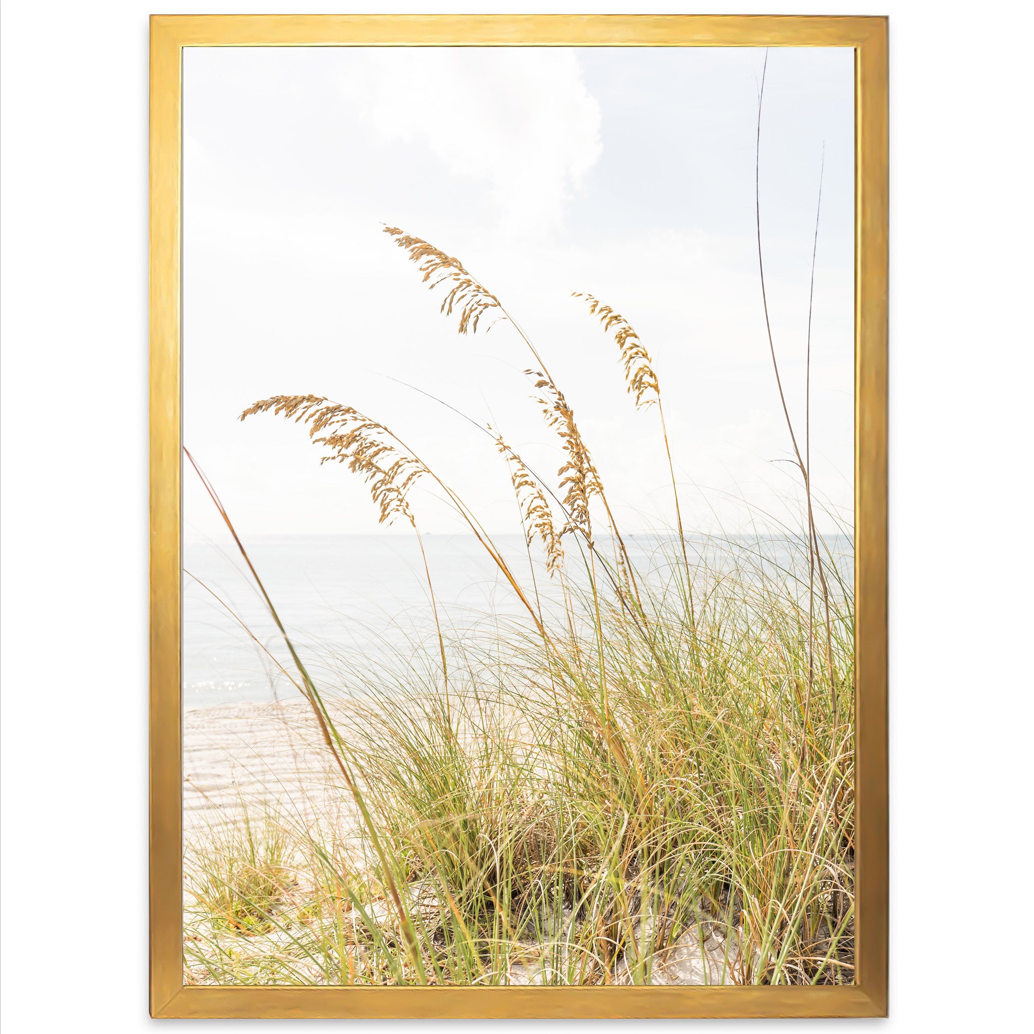 Sea Oats
