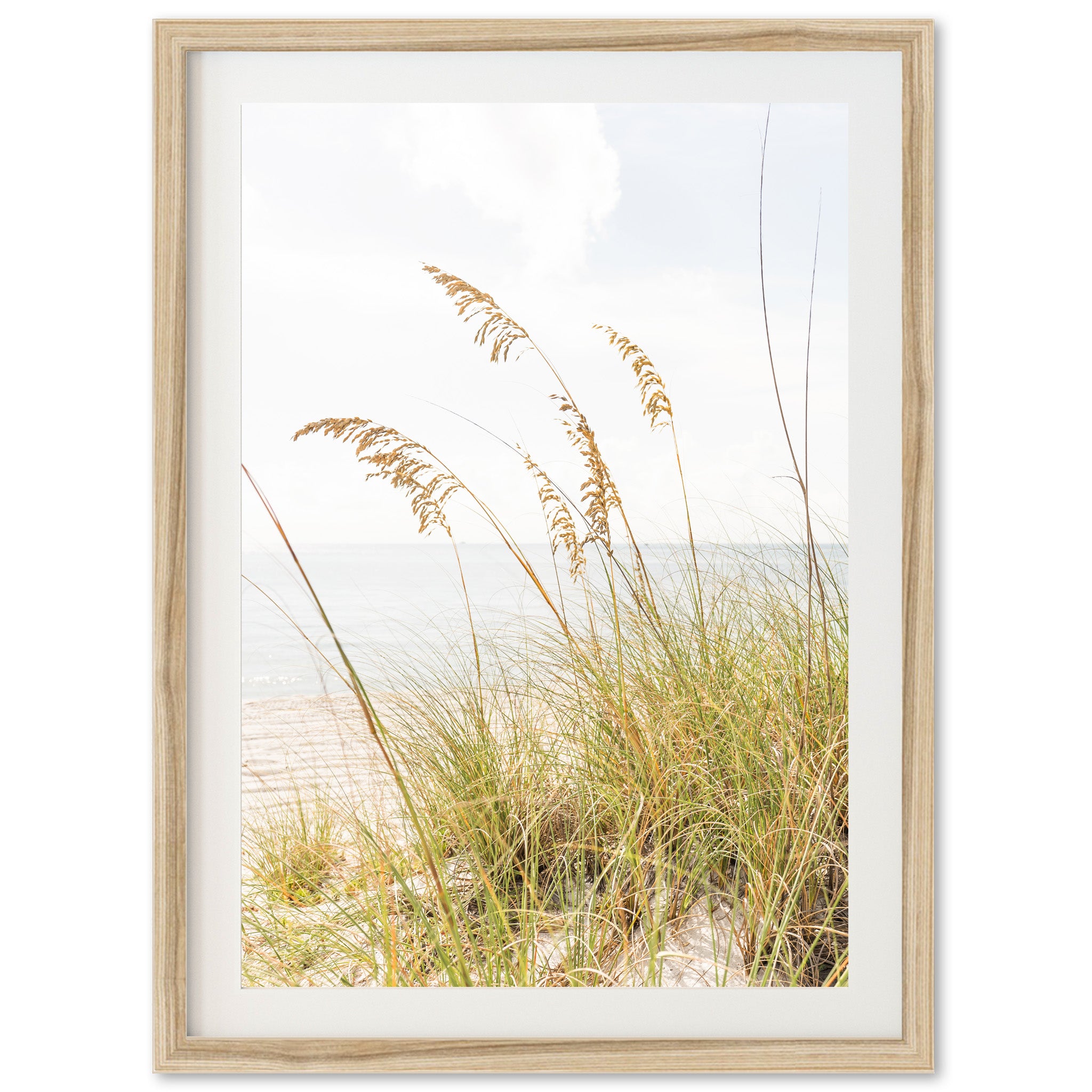 Sea Oats