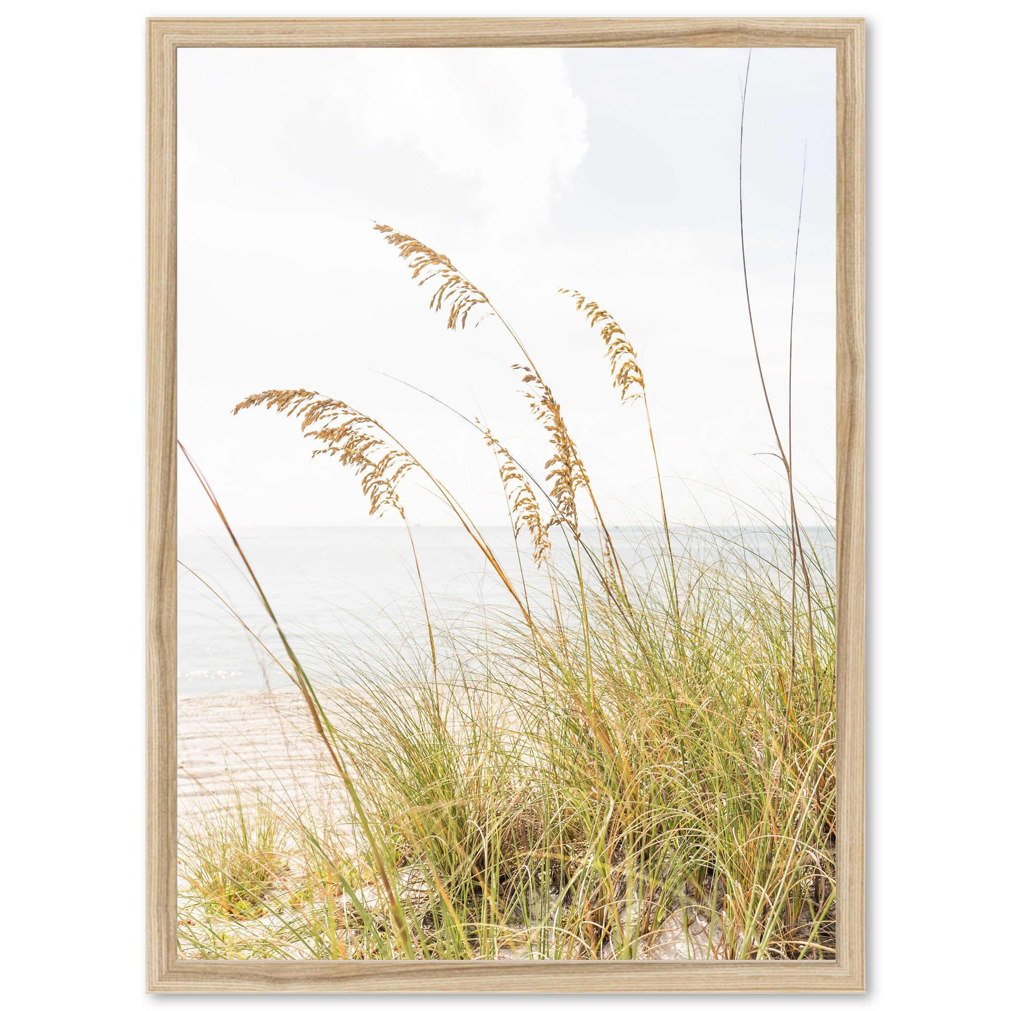 Sea Oats