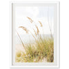 Sea Oats