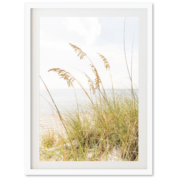 Sea Oats