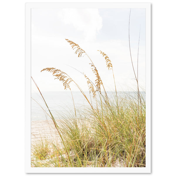 Sea Oats
