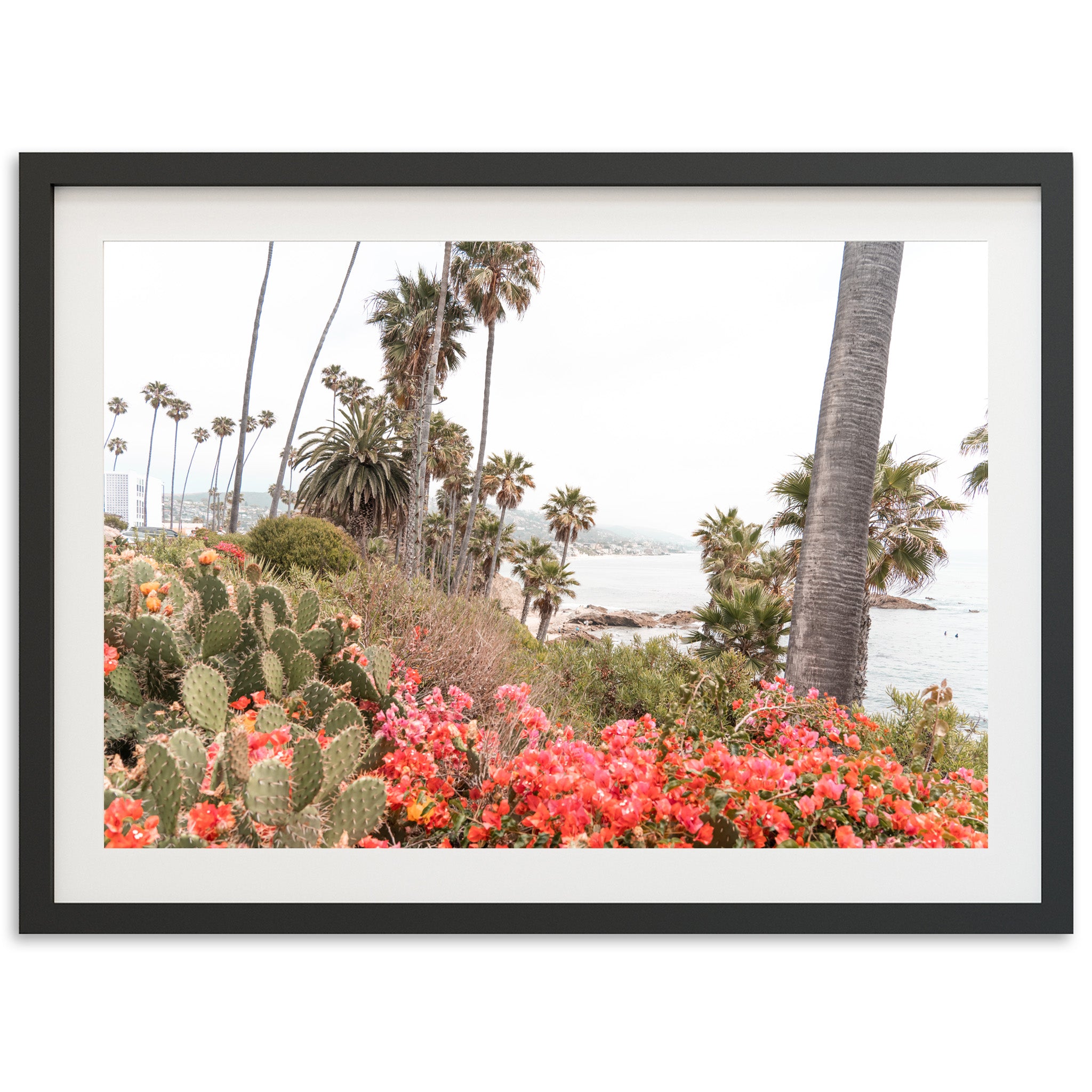 Beach Bloom