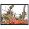 Beach Bloom