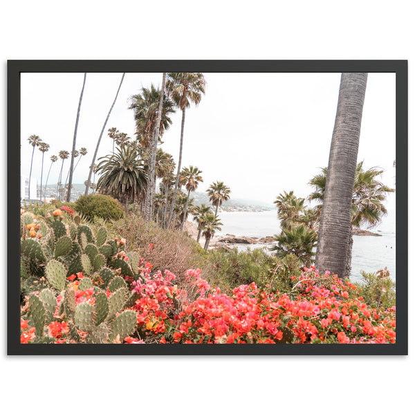 Beach Bloom