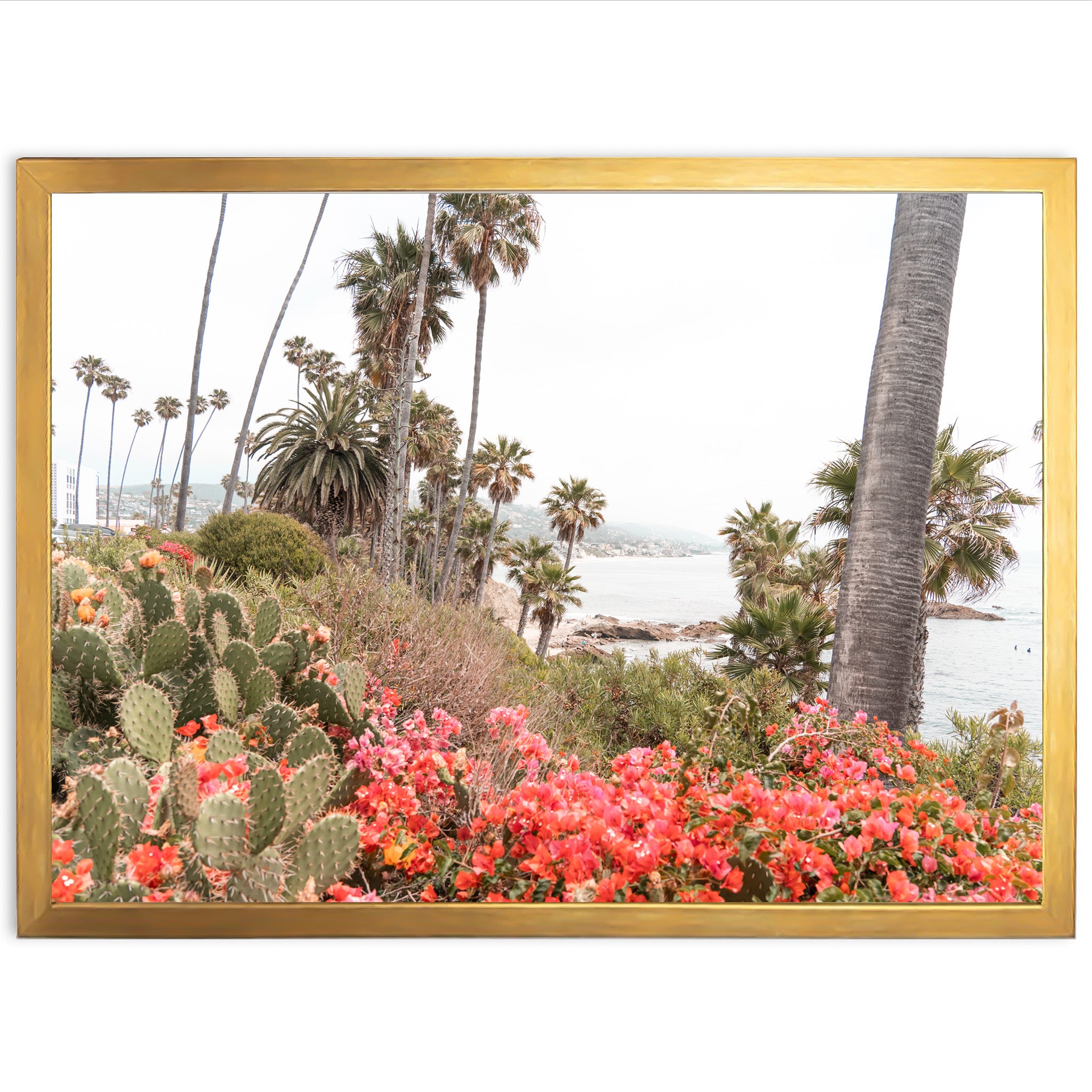Beach Bloom