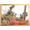 Beach Bloom