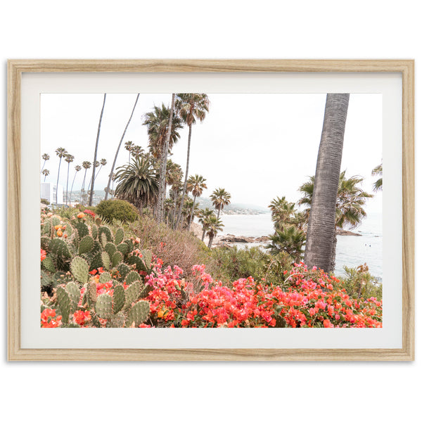 Beach Bloom