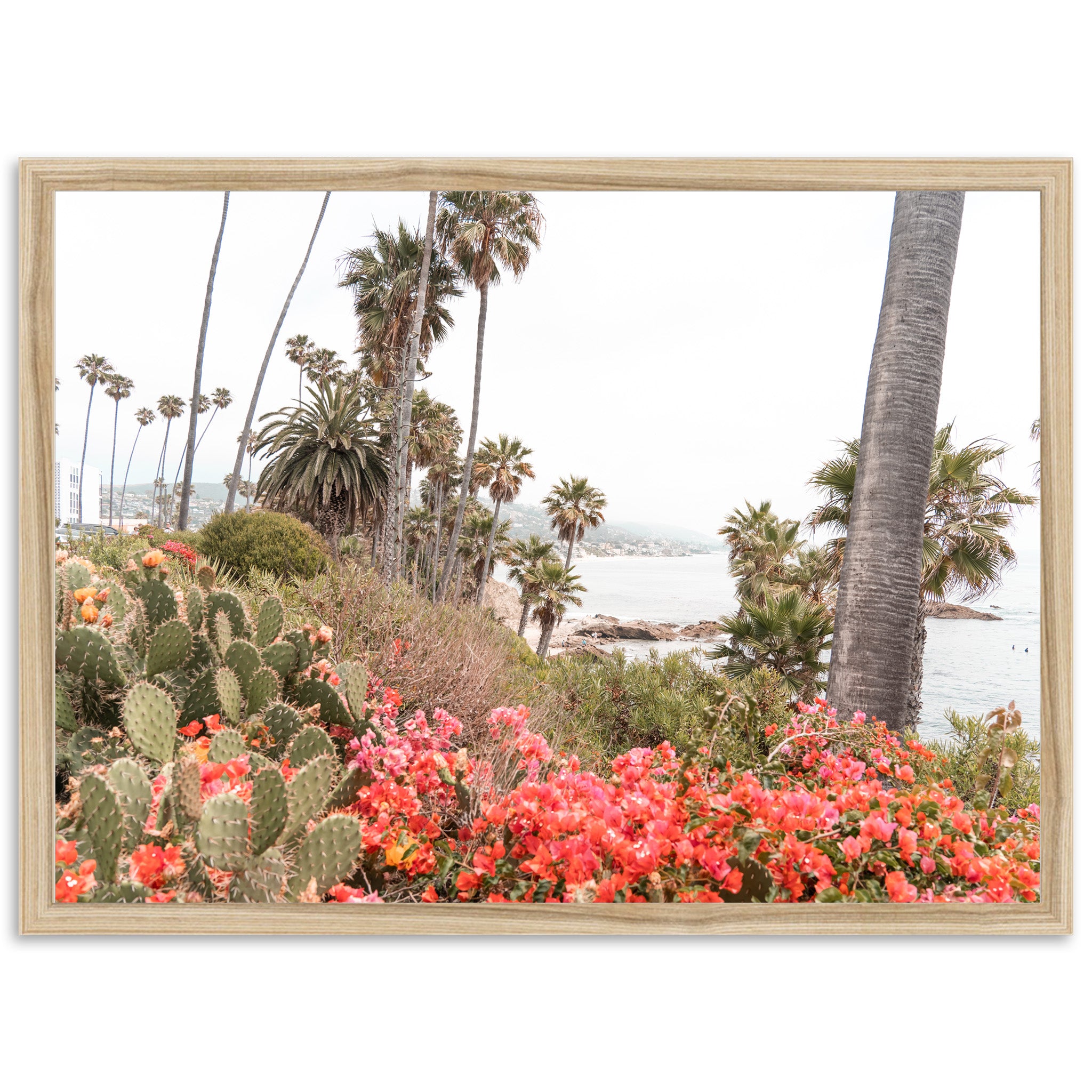 Beach Bloom