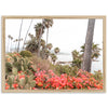 Beach Bloom