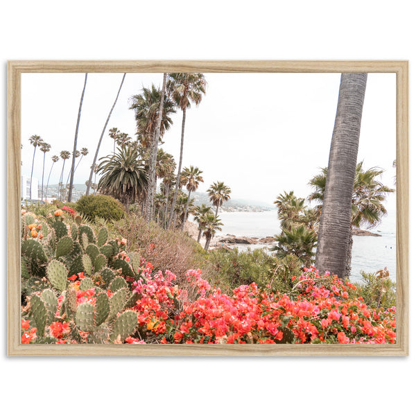 Beach Bloom