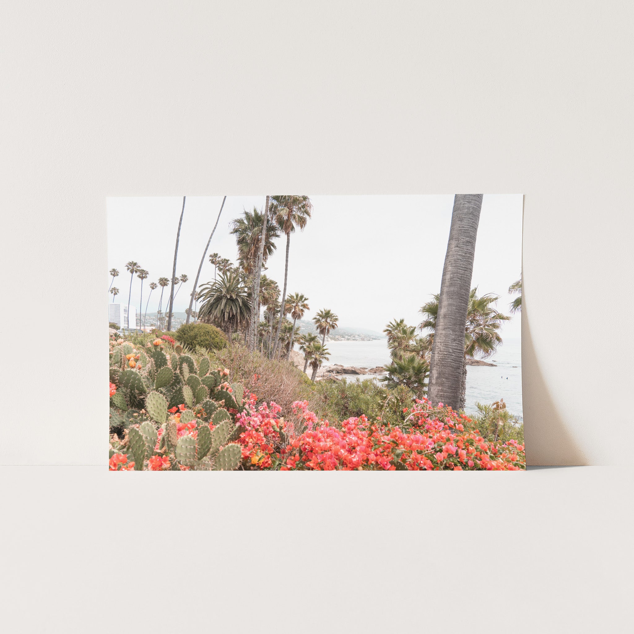 Beach Bloom