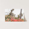 Beach Bloom