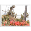 Beach Bloom