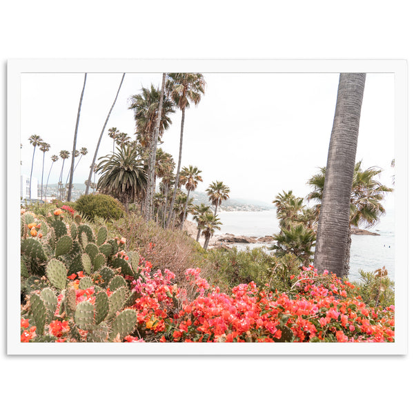 Beach Bloom