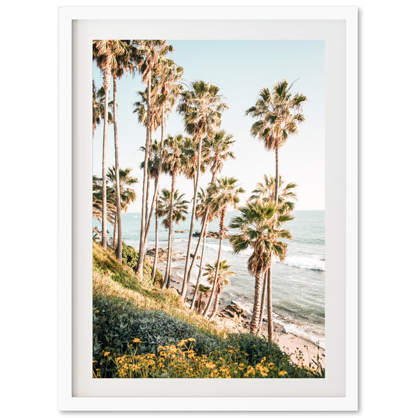 Pacific Palms