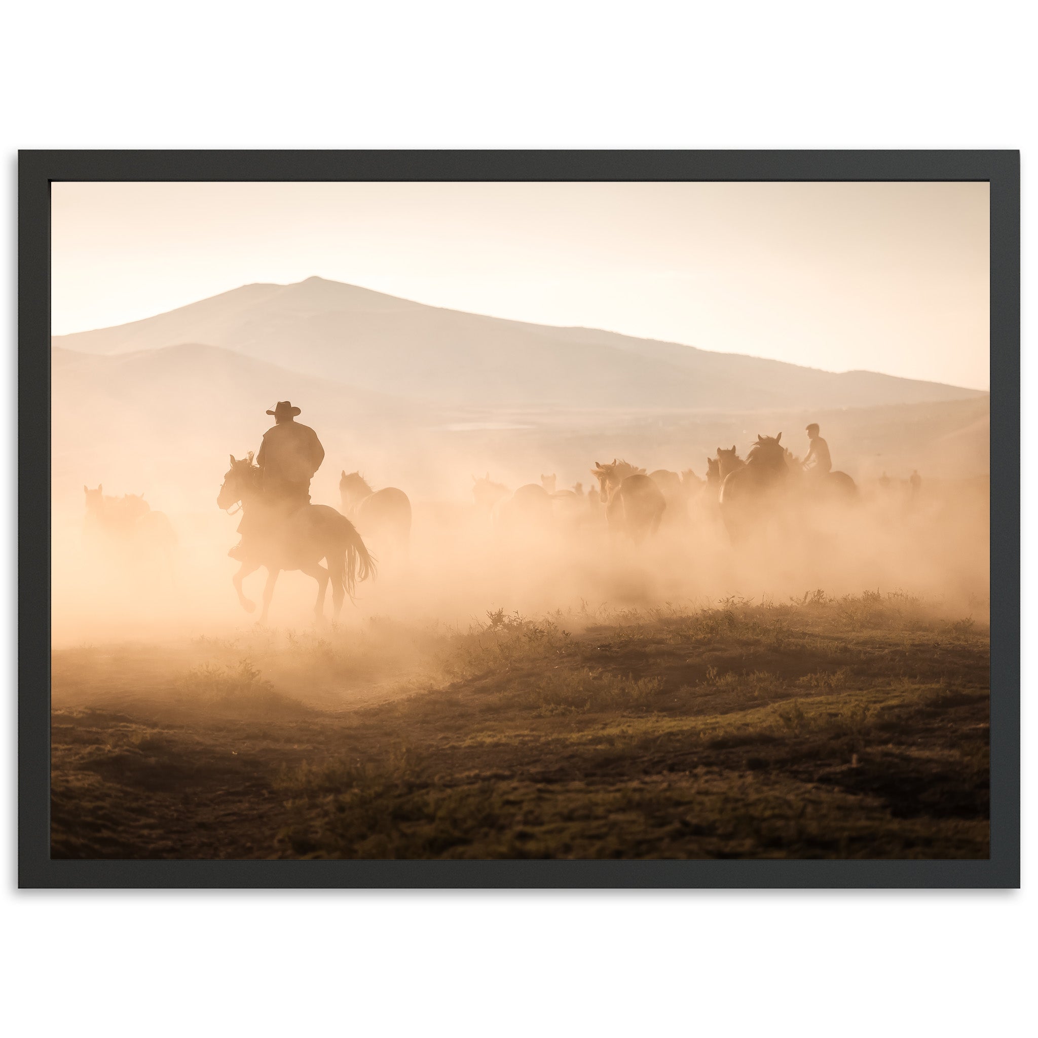 Cowboy Country
