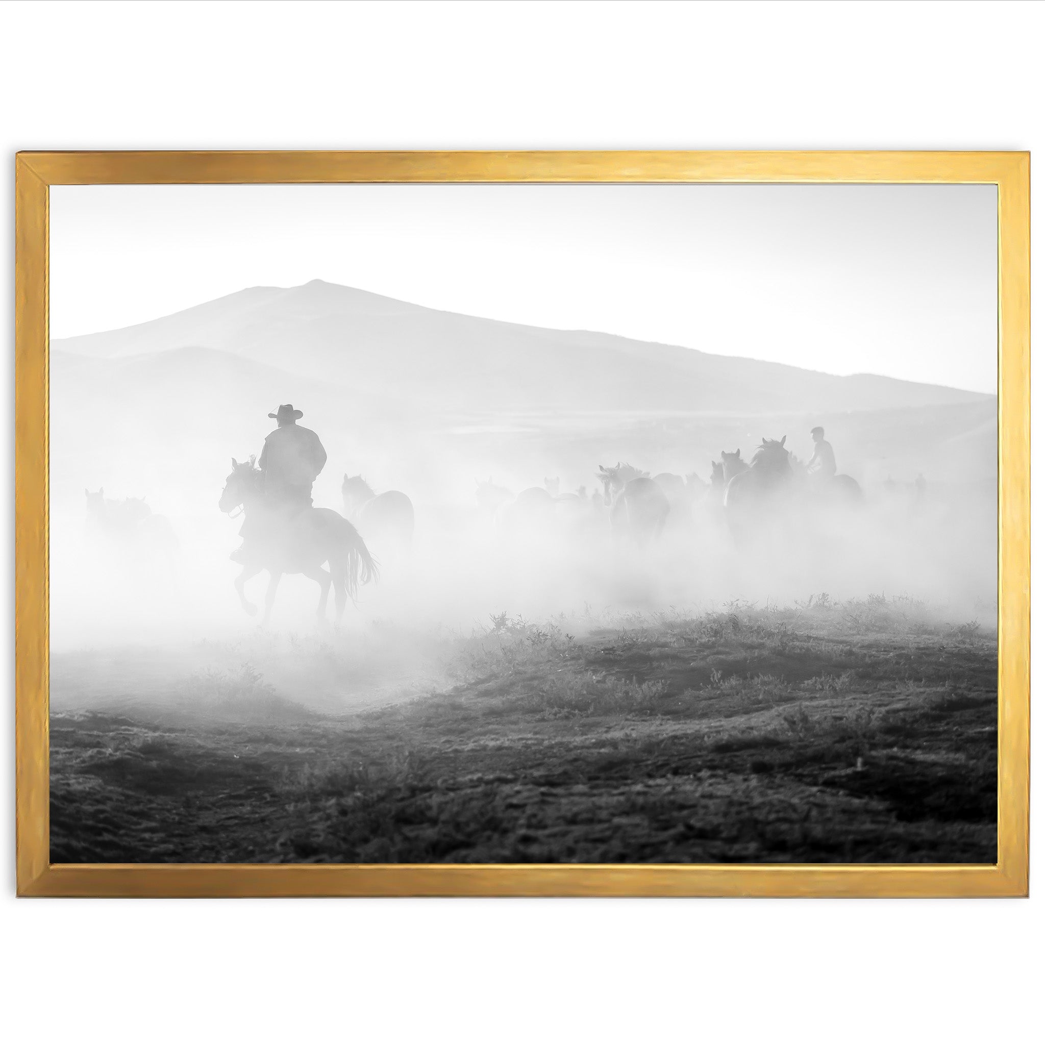 Cowboy Country II