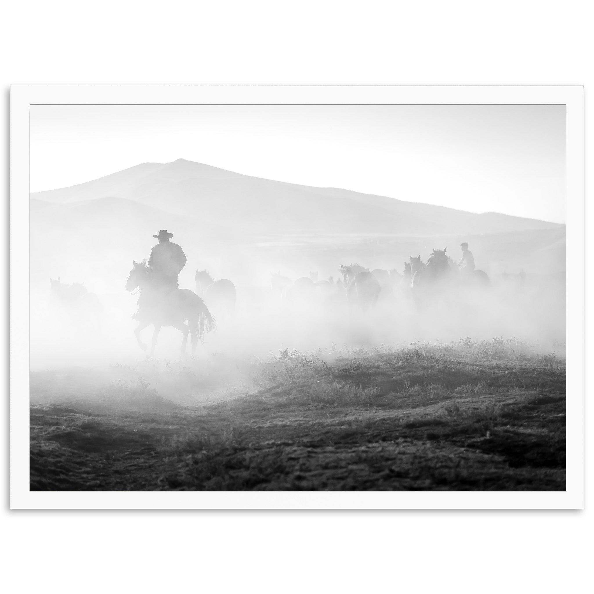 Cowboy Country II