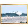 Pacific Flight