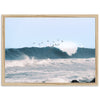 Pacific Flight