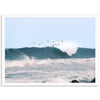 Pacific Flight