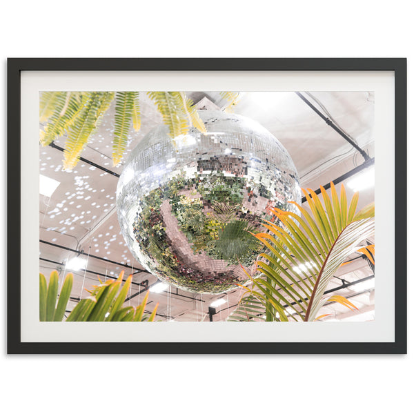 Plant Disco