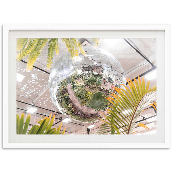 Plant Disco