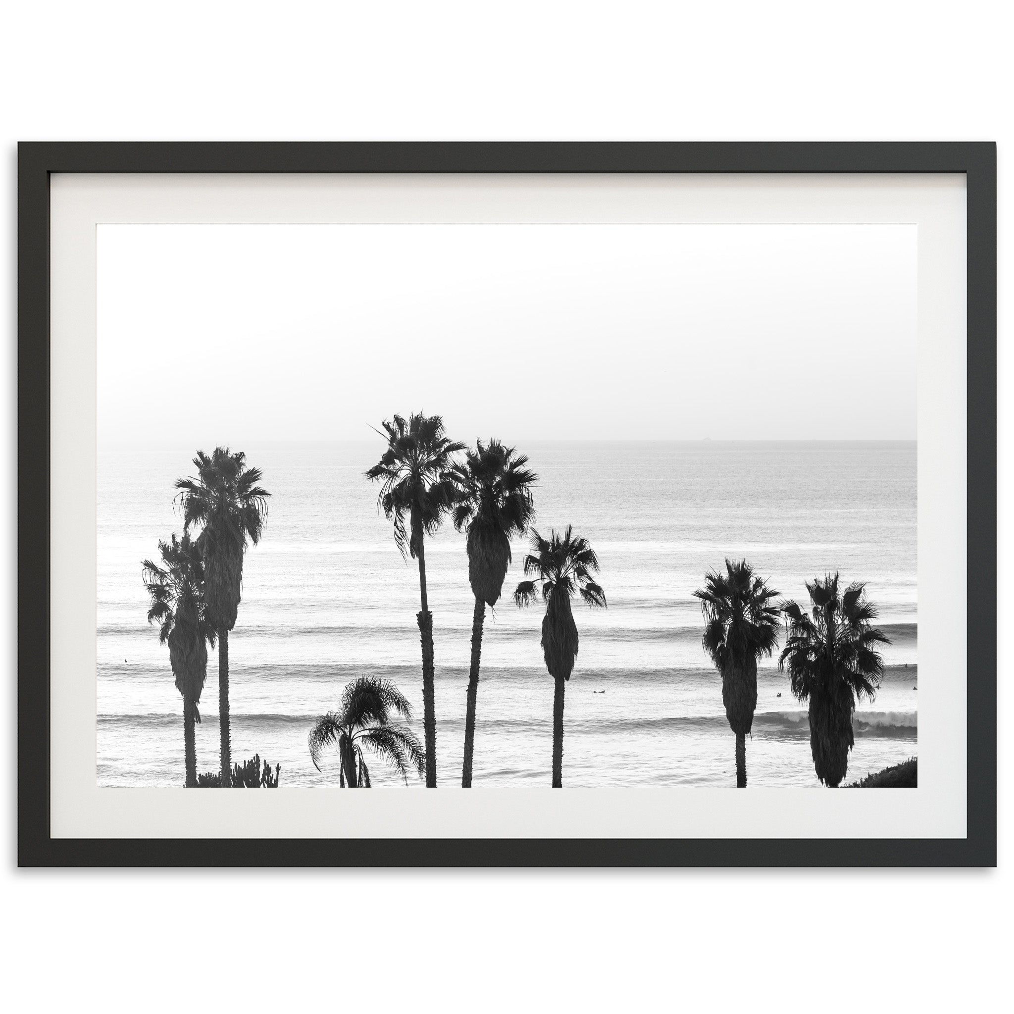 Sunset Cliffs II