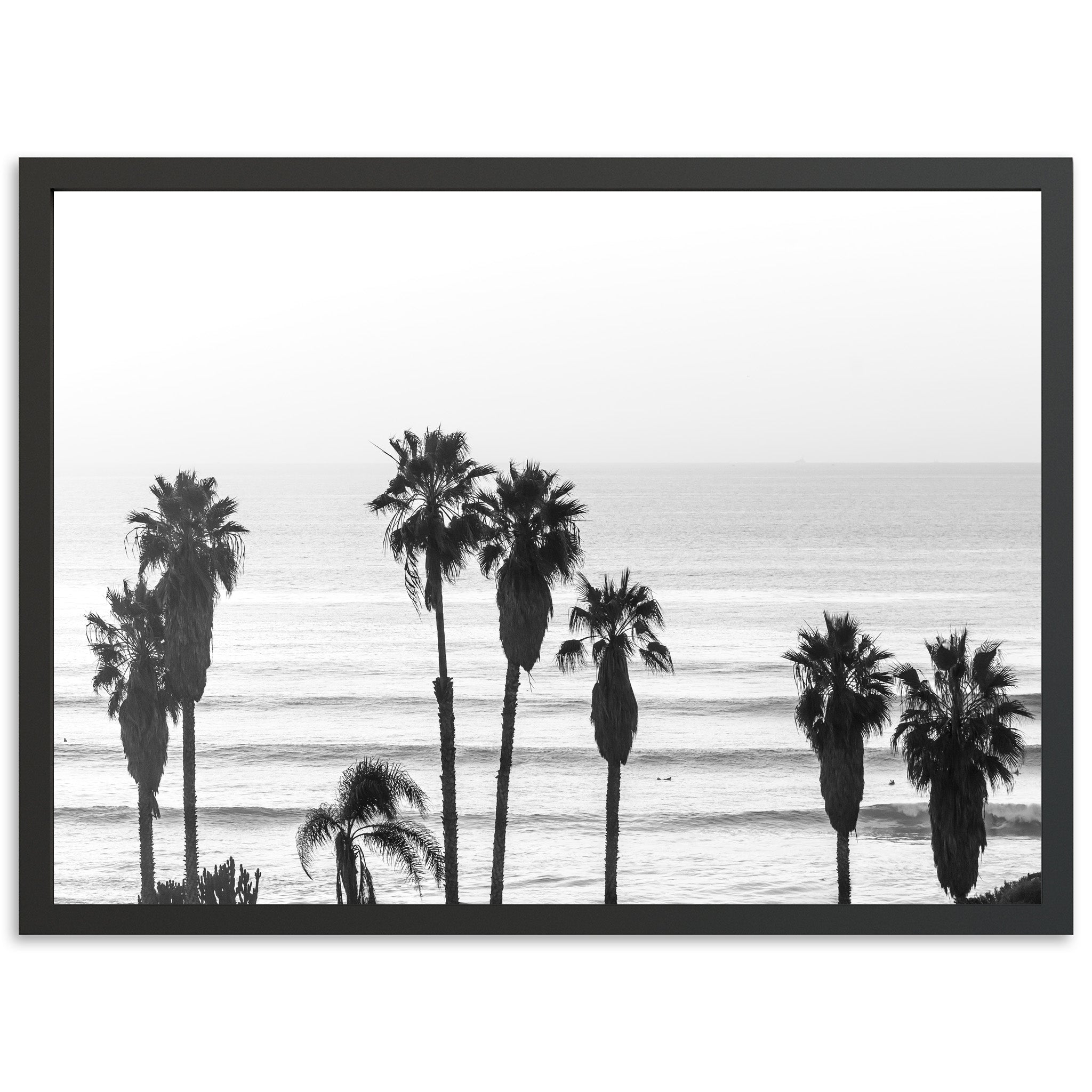 Sunset Cliffs II