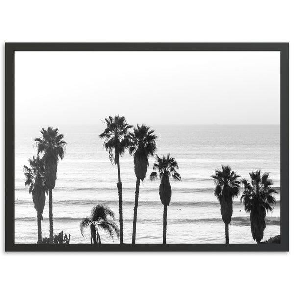 Sunset Cliffs II