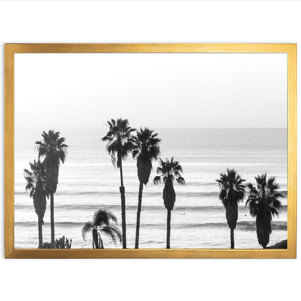Sunset Cliffs II