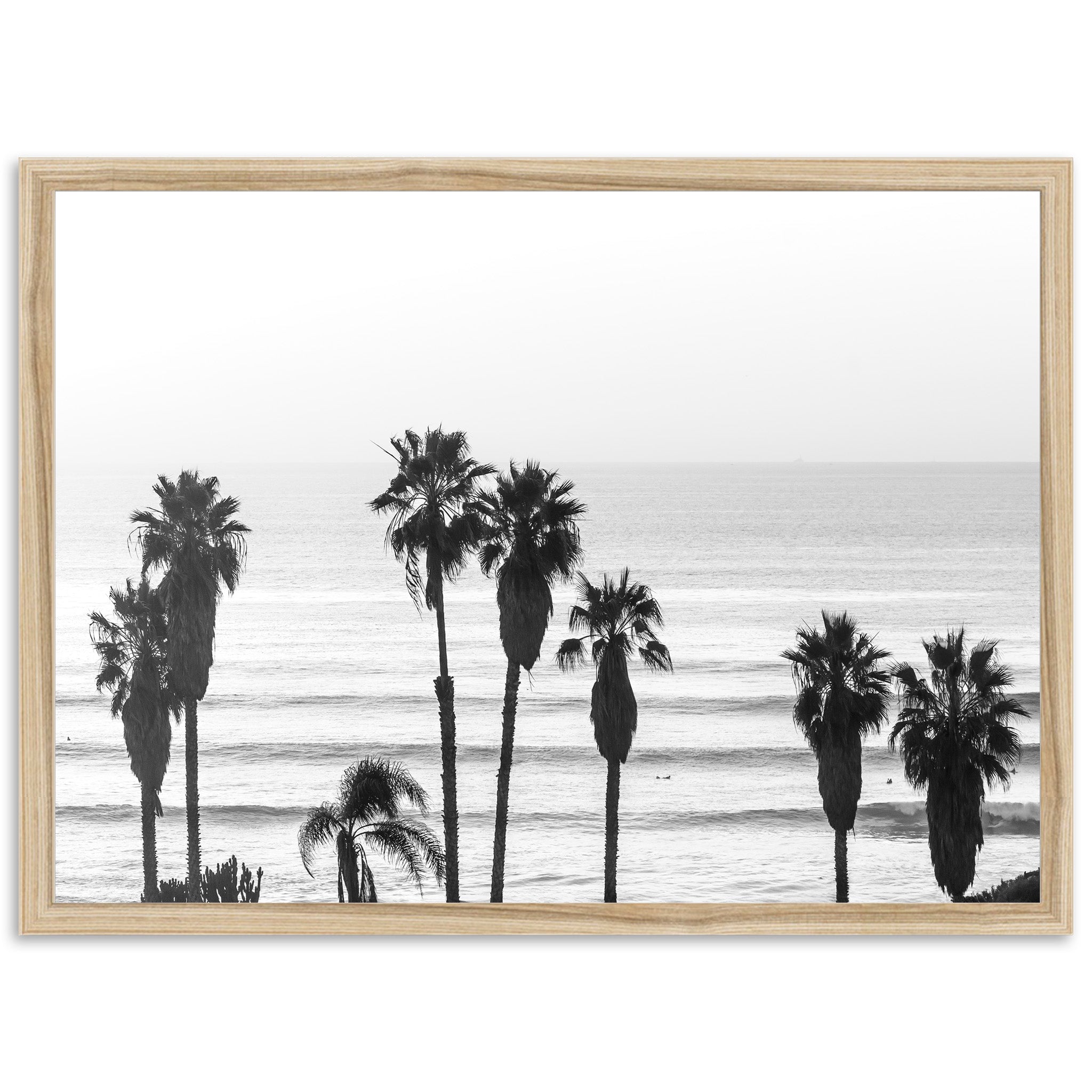 Sunset Cliffs II