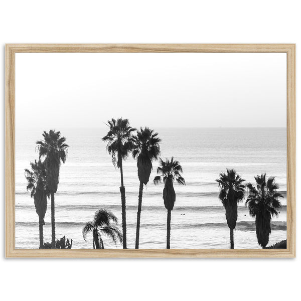 Sunset Cliffs II