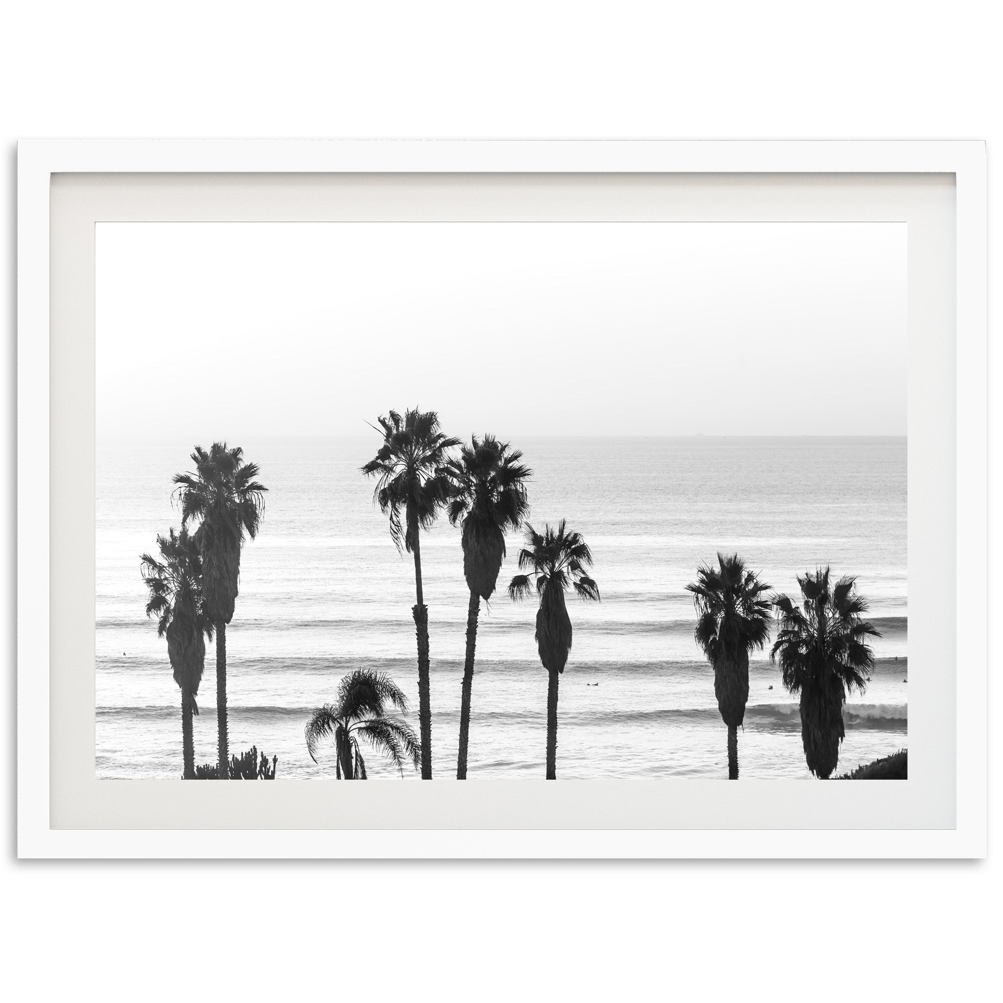 Sunset Cliffs II