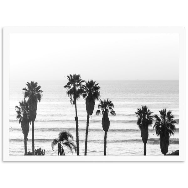 Sunset Cliffs II