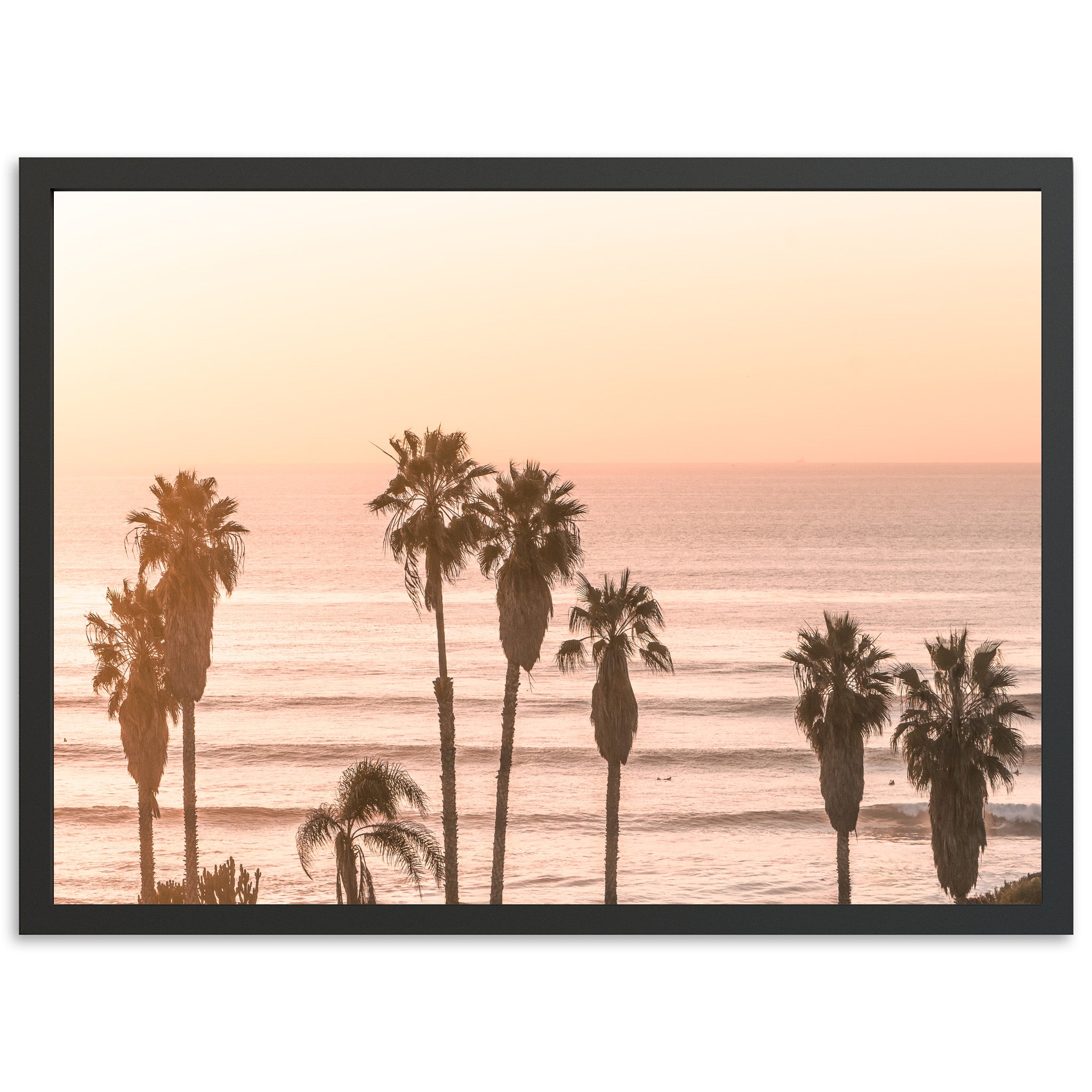 Sunset Cliffs