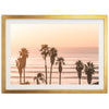 Sunset Cliffs