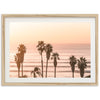 Sunset Cliffs