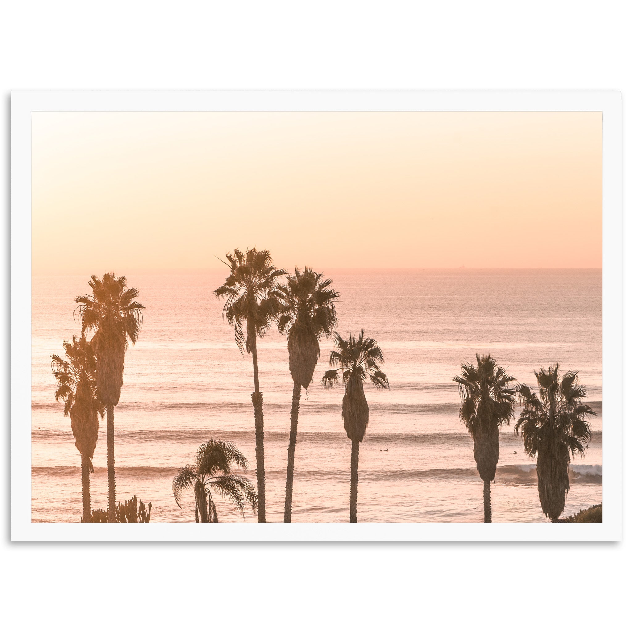 Sunset Cliffs