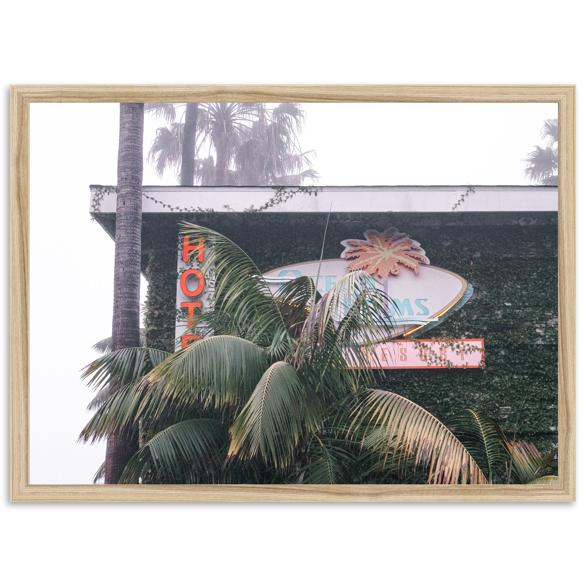 a palm tree and a neon sign on a building