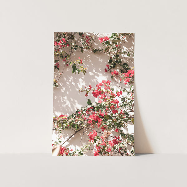 a white wall with pink flowers on it