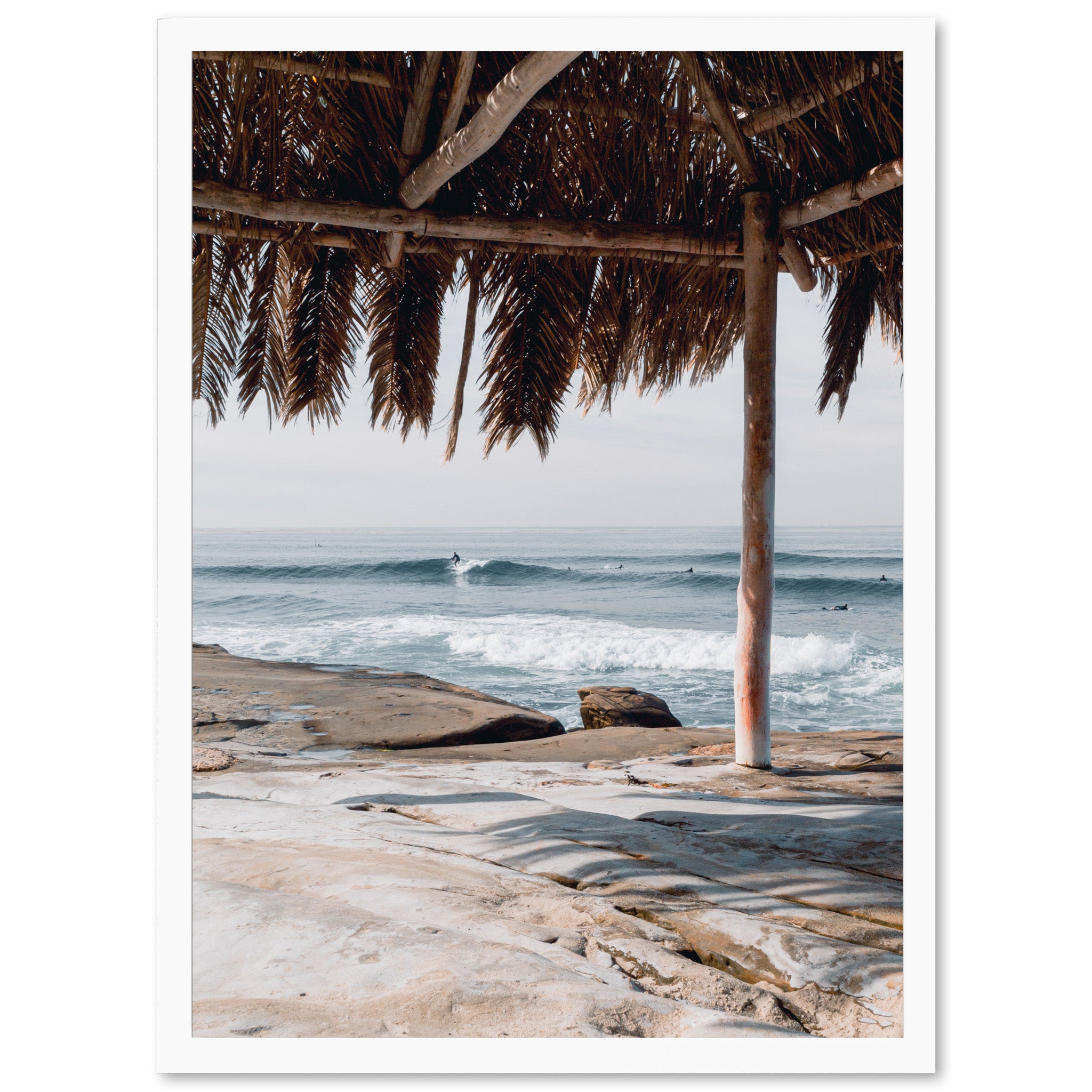 a picture of a beach under a palm tree